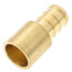 1/2" PEX x 1/2" Copper Fitting Brass Adapter (Lead Free)