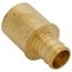 5/8" PEX x 3/4" Male Sweat Copper Fitting Brass Adapter (Lead Free)
