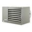 PTX175 Separated Combustion and Power-Vented Unit Heater w/ SS Heat Exchanger - 175,000 BTU (LP)