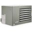 PTX175 Separated Combustion and Power-Vented Unit Heater w/ SS Heat Exchanger - 175,000 BTU (LP)