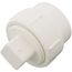 1-1/2" PVC DWV Fitting Cleanout Adapter w/ Plug (NSF)