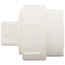 1-1/2" PVC DWV Fitting Cleanout Adapter w/ Plug (NSF)