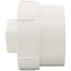 4" PVC DWV Fitting Cleanout Adapter w/ Plug (NSF)