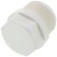3/4" PVC Schedule 40 Male Threaded Plug