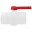 4" SCH 40 PVC Ball Valve (Solvent)