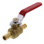 1/2" PEX x 1/2" PEX Ball Valve (Lead Free)