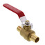 3/4" PEX x 3/4" PEX Ball Valve (Lead Free)