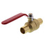 1" PEX x 1" PEX Ball Valve (Lead Free)