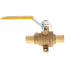 3/4" PEX Ball Valve w/ Waste Drain & Drop Ear Elbow (Lead Free)