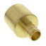1/2" PEX x 3/4" Female Sweat Copper Pipe Brass Adapter (Lead Free)