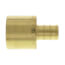 1/2" PEX x 3/4" Female Sweat Copper Pipe Brass Adapter (Lead Free)