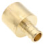 1/2" PEX x 3/4" Female Sweat Copper Pipe DZR Brass Adapter (Lead Free)