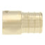 3/4" PEX x 1/2" Female Sweat Copper Pipe DZR Brass Adapter (Lead Free)
