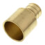 3/4" PEX x 3/4" Female Sweat Copper Pipe Brass Adapter (Lead Free)