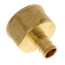 1/2" PEX x 3/4" NPT Brass Female Adapter (Lead Free)