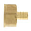 1/2" PEX x 3/4" NPT Brass Female Adapter (Lead Free)