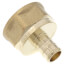 1/2" PEX x 3/4" NPT DZR Brass Female Adapter (Lead Free)