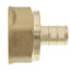 1/2" PEX x 3/4" NPT DZR Brass Female Adapter (Lead Free)