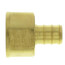 1/2" PEX x 1/2" NPT Brass Female Adapter (Lead Free)