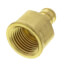 1/2" PEX x 1/2" NPT Brass Female Adapter (Lead Free)