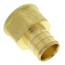 3/4" PEX x 1/2" NPT Brass Female Adapter (Lead Free)