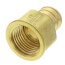 3/4" PEX x 1/2" NPT Brass Female Adapter (Lead Free)