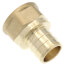 Pxf Dzr Bluefin Pxf Dzr Pex X Npt Dzr Brass Female Adapter Lead Free