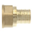 3/4" PEX x 1/2" NPT DZR Brass Female Adapter (Lead Free)