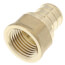 3/4" PEX x 1/2" NPT DZR Brass Female Adapter (Lead Free)