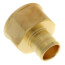 3/4" PEX x 3/4" NPT Brass Female Adapter (Lead Free)