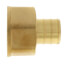 3/4" PEX x 3/4" NPT Brass Female Adapter (Lead Free)