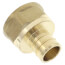3/4" PEX x 3/4" NPT DZR Brass Female Adapter (Lead Free)