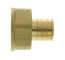 1" PEX x 1" NPT Brass Female Adapter (Lead Free)