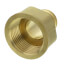 1" PEX x 1" NPT Brass Female Adapter (Lead Free)