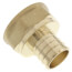 1" PEX x 1" NPT DZR Brass Female Adapter (Lead Free)