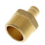 1/2" PEX x 3/4" NPT Brass Male Adapter (Lead Free)