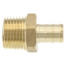 1/2" PEX Crimp x 1/2" NPT DZR Brass Male Adapter (Lead Free)