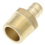 1/2" PEX Crimp x 1/2" NPT DZR Brass Male Adapter (Lead Free)