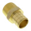 3/4" PEX x 1/2" NPT Brass Male Adapter (Lead Free)