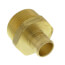 3/4" PEX x 1" NPT Brass Male Adapter (Lead Free)