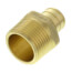 3/4" PEX x 3/4" NPT Brass Male Adapter (Lead Free)