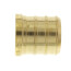 3/4" PEX Brass Plug (Lead Free)