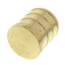 3/4" PEX Brass Plug (Lead Free)