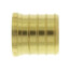 1" PEX Brass Plug (Lead Free)