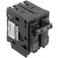 QPH 2 Pole Plug-In Residential Low Voltage Miniature Circuit Breaker (120/240V, 40A)