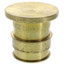 ProPEX Brass Plug for 2" PEX