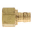 5/8" ProPEX x 3/4" NPT Brass Female Adapter