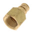 5/8" ProPEX x 3/4" NPT Brass Female Adapter