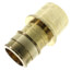 2" ProPEX x 2" Male Sweat Copper Fitting Adapter (Brass)