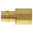 3/4" ProPEX x 1" Male Sweat Copper Fitting Adapter (Brass)